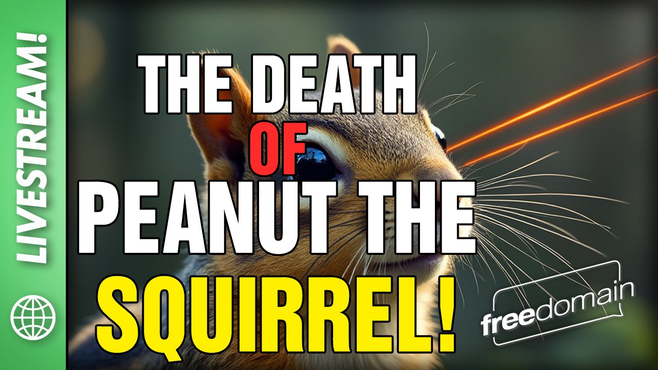 5715 The Death of Peanut the Squirrel!