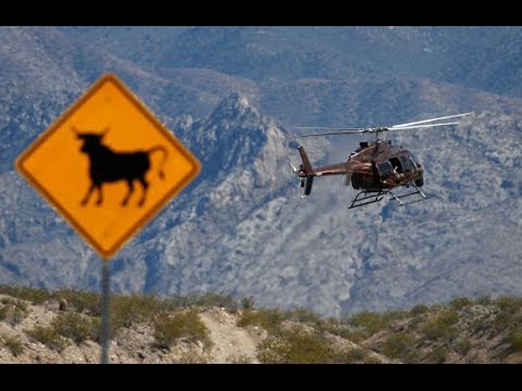 2661 The Truth About the Nevada Rancher's Standoff episode artwork