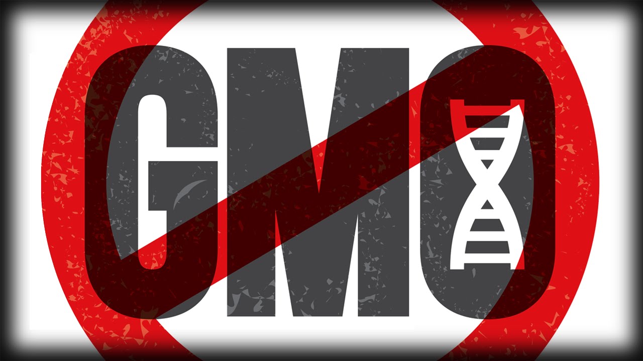 3221 Are Genetically Modified Organisms (GMOs) Safe? | Jon Entine and Stefan Molyneux episode artwork