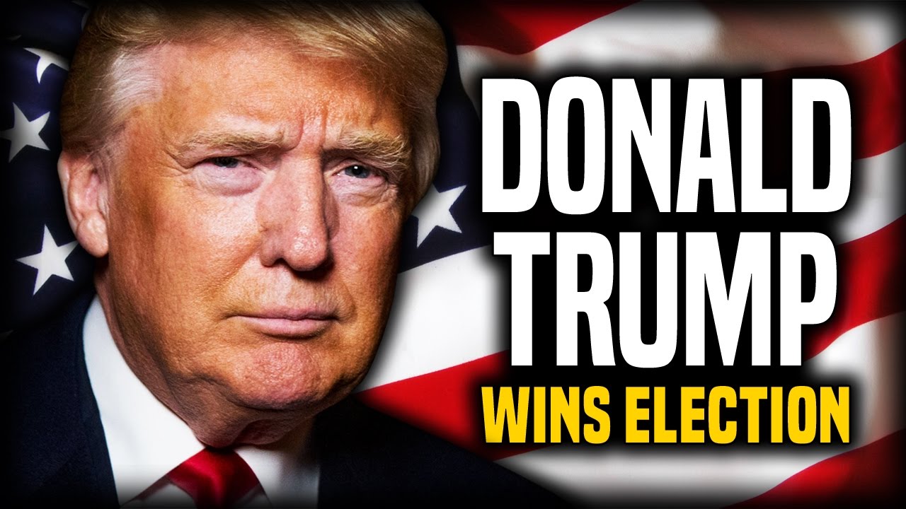 3433 How Donald Trump Won the Election | Scott Adams and Stefan Molyneux episode artwork