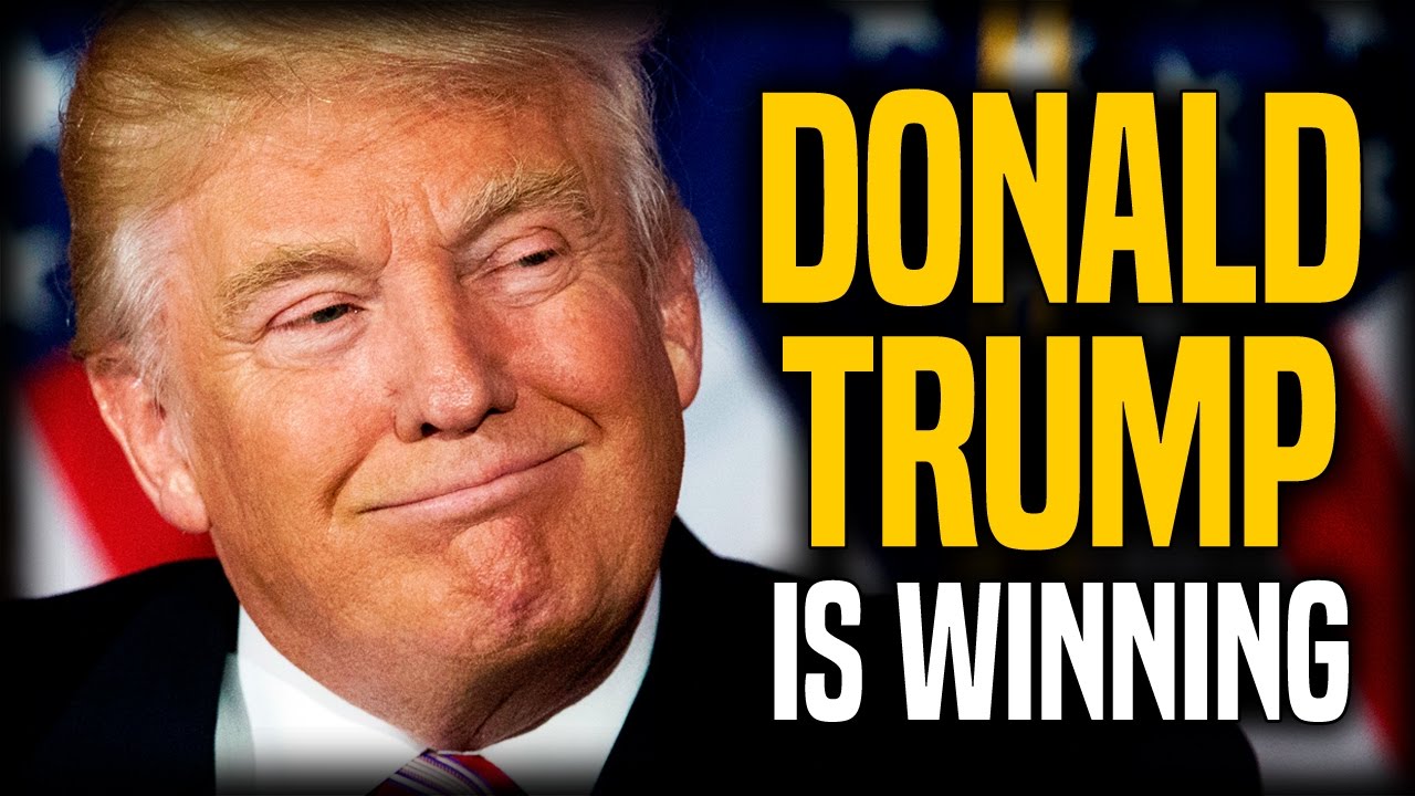 3458 Donald Trump Is Winning | Bill Mitchell and Stefan Molyneux episode artwork