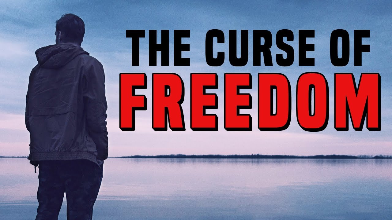 4255 The Curse of Freedom! Freedomain Call In episode artwork