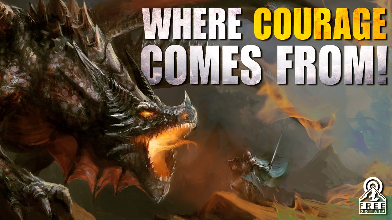 4741 WHERE COURAGE COMES FROM! Freedomain Call In episode artwork